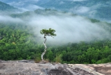 Looking Glass Rock, NC