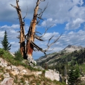 Tetons-August-2010_5544_ed3