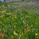 Tetons-August-2010_5629_edited-2