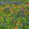 Tetons-August-2010_5670_edited-3