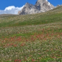 Tetons-August-2010_5732_edited-2