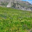 Tetons-August-2010_5808_edited-2