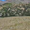 Tetons-August-2010_5837_edited-2