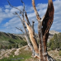 f-dr-shmunk-teton-range-tetons-august-2010_5540_ed2