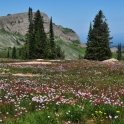 tetons-august-2010_6026_edited-2